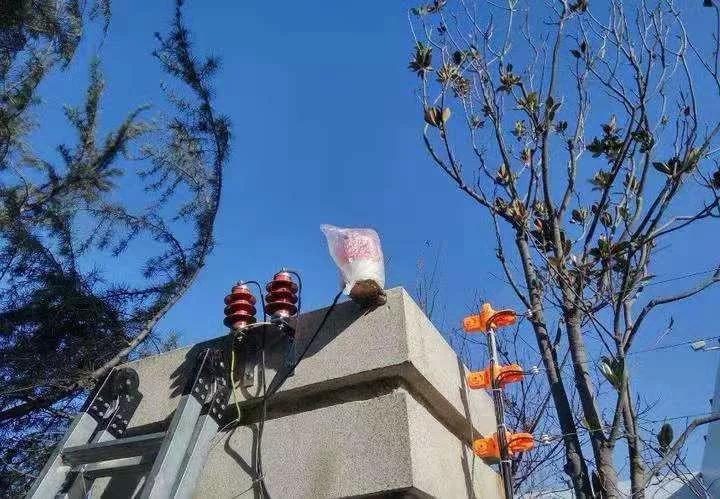 電子圍欄系統